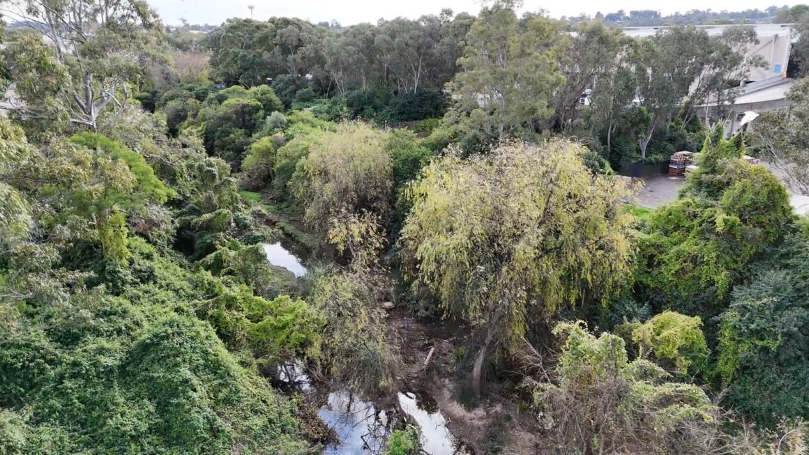 Toongabbie Creek, Seven Hills, Sydney, NSW Toongabbie Creek, Seven Hills, Sydney, NSW